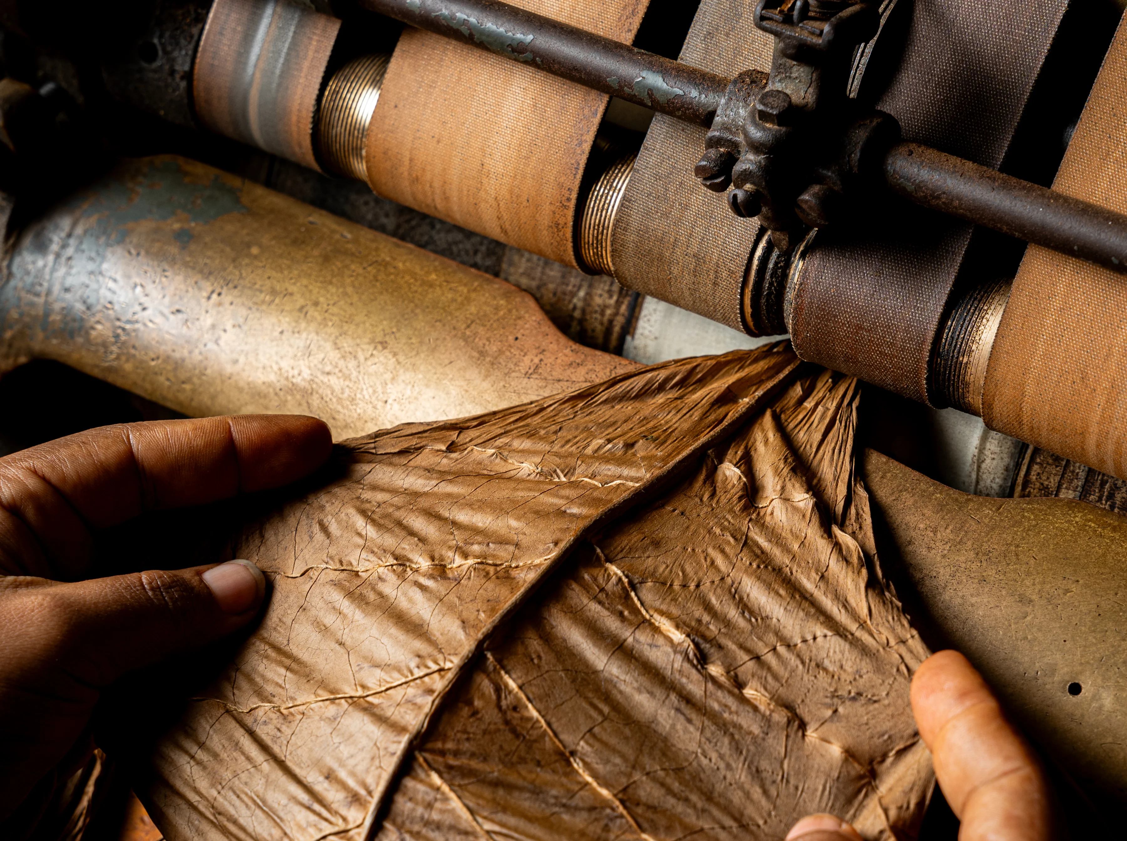 Steeped in Tradition Eladio Diaz Kiskeya Cigar Partner